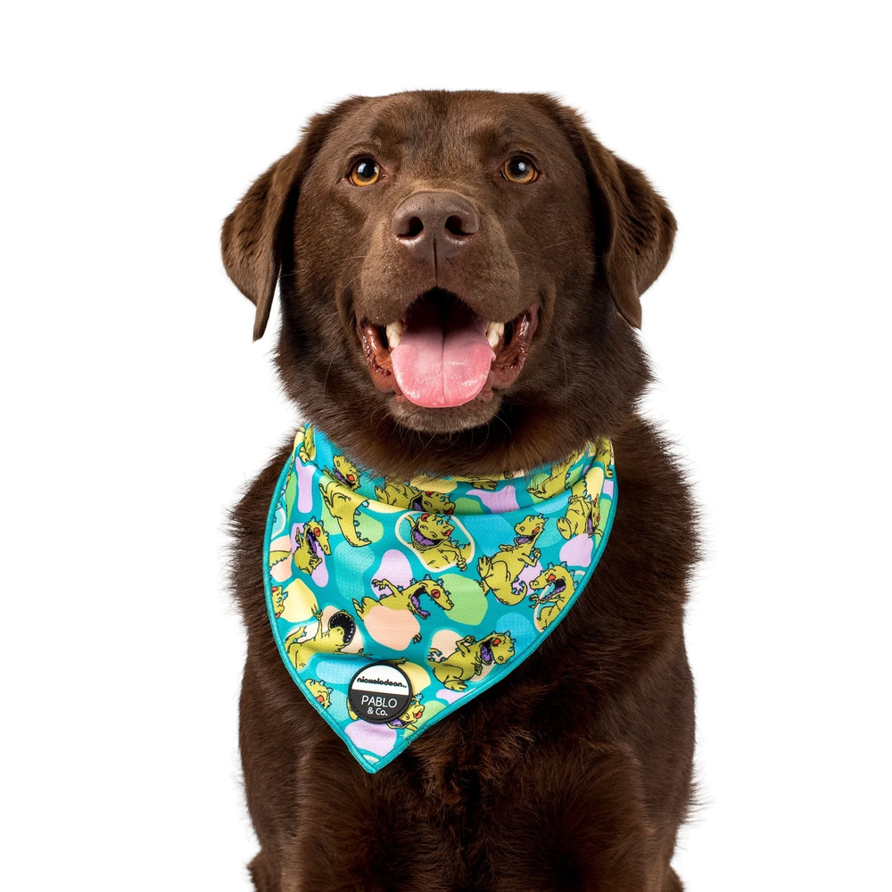 Pablo dog clearance bandana