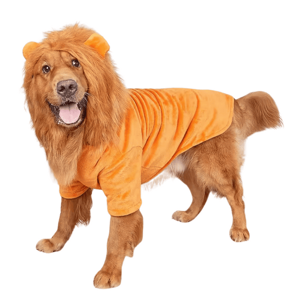 Lion Dog Costume - Medium - Large Dogs