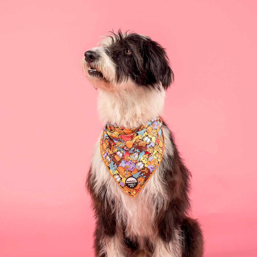 Pablo & Co: As Sweet as Garfield Dog Bandana