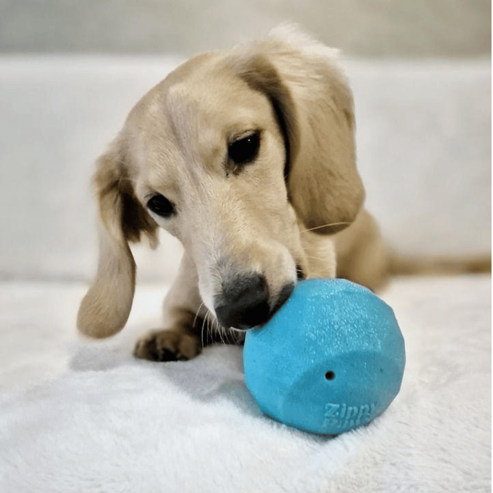 Zippy Paws Waggle Ball