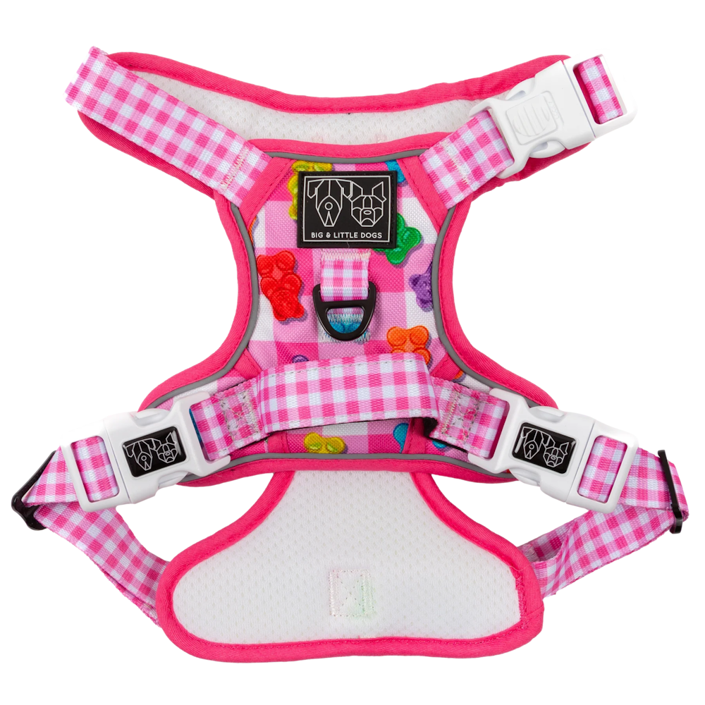 Big & Little Dogs Beary Sweet All Rounder Harness