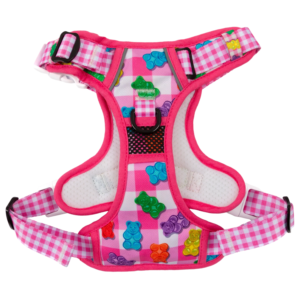 Big & Little Dogs Beary Sweet All Rounder Harness