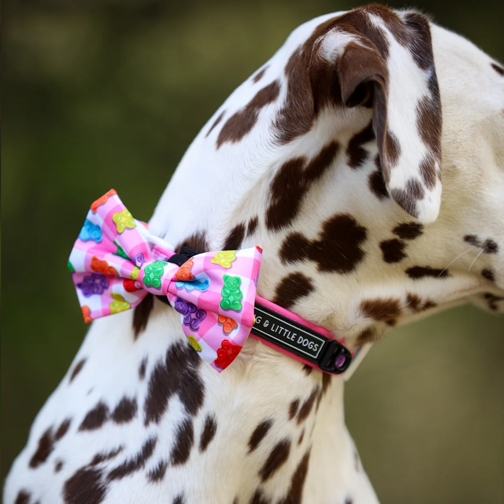 Big & Little Dogs Beary Sweet Collar & Bow Tie (Copy)