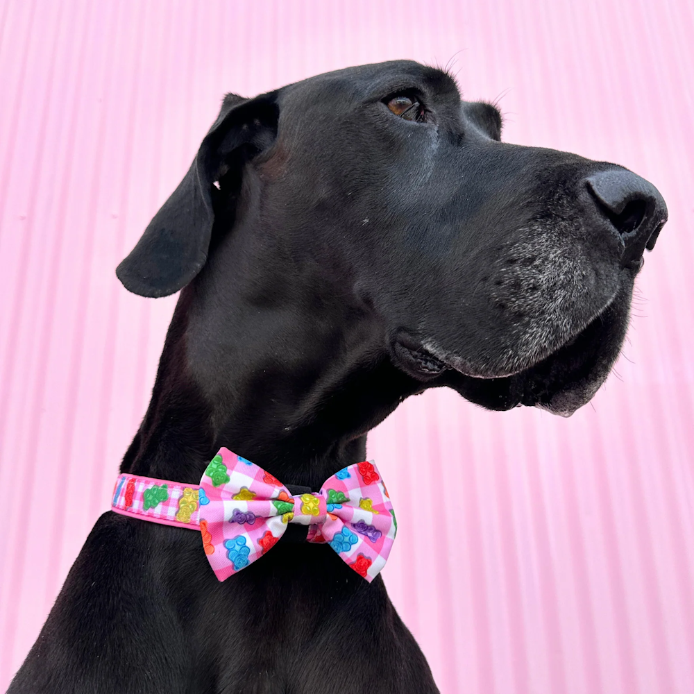 Big & Little Dogs Beary Sweet Collar & Bow Tie (Copy)