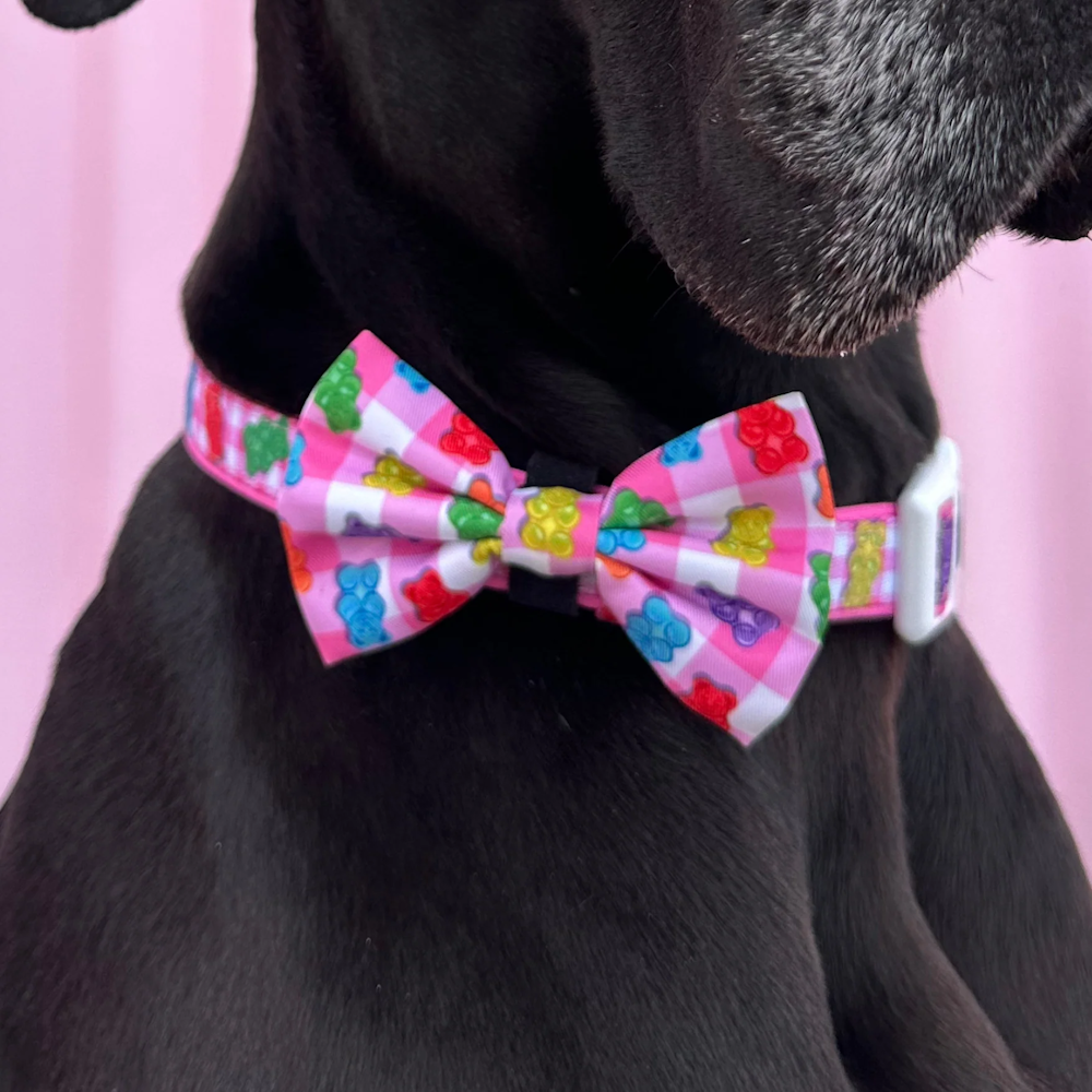 Big & Little Dogs Beary Sweet Collar & Bow Tie (Copy)