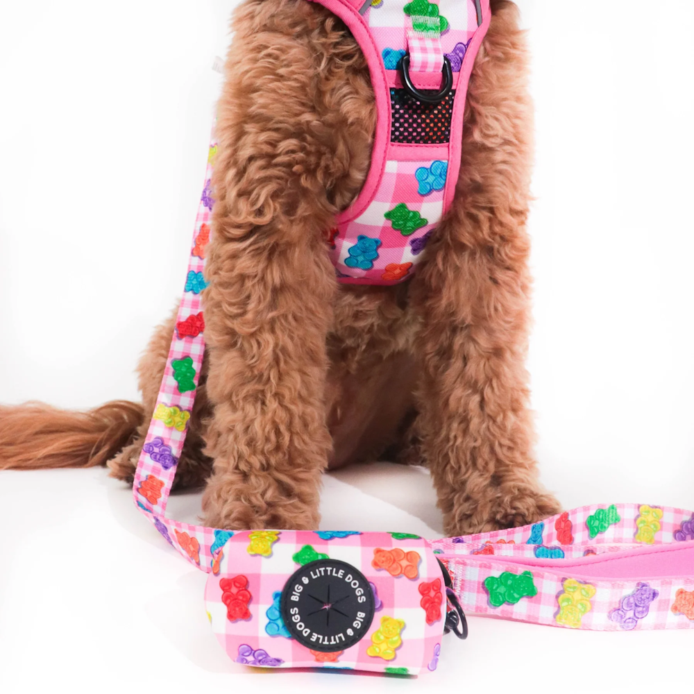 Big & Little Dogs Poop Bag Holder: Beary Sweet