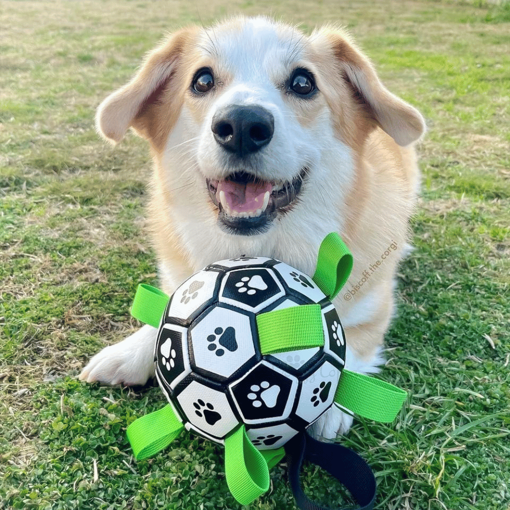 Interactive Dog Soccer Ball With Grab Tabs