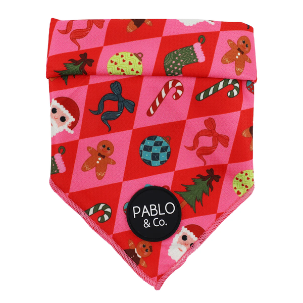 Pablo & Co Christmas Cheer: Bandana