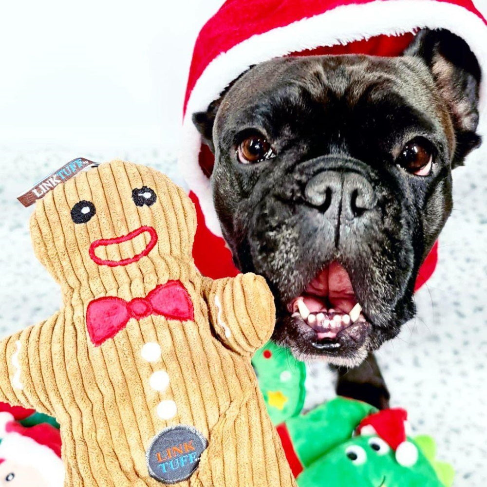 Gingerbread Man Plush Dog Toy