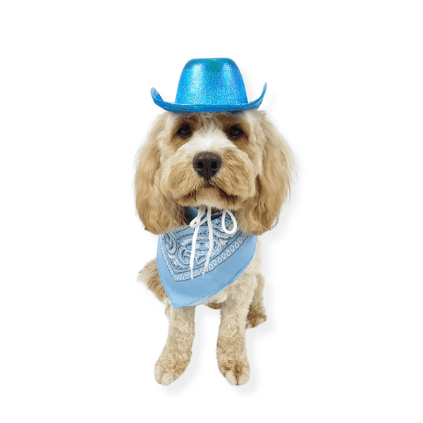 Cowboy Dog Hat and Bandana: Blue