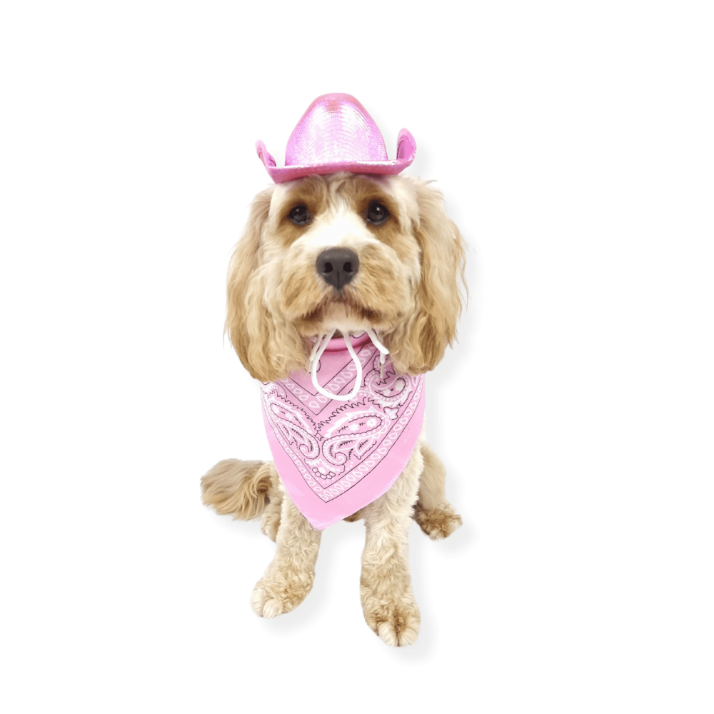 Cowgirl Dog Hat and Bandana: Pink