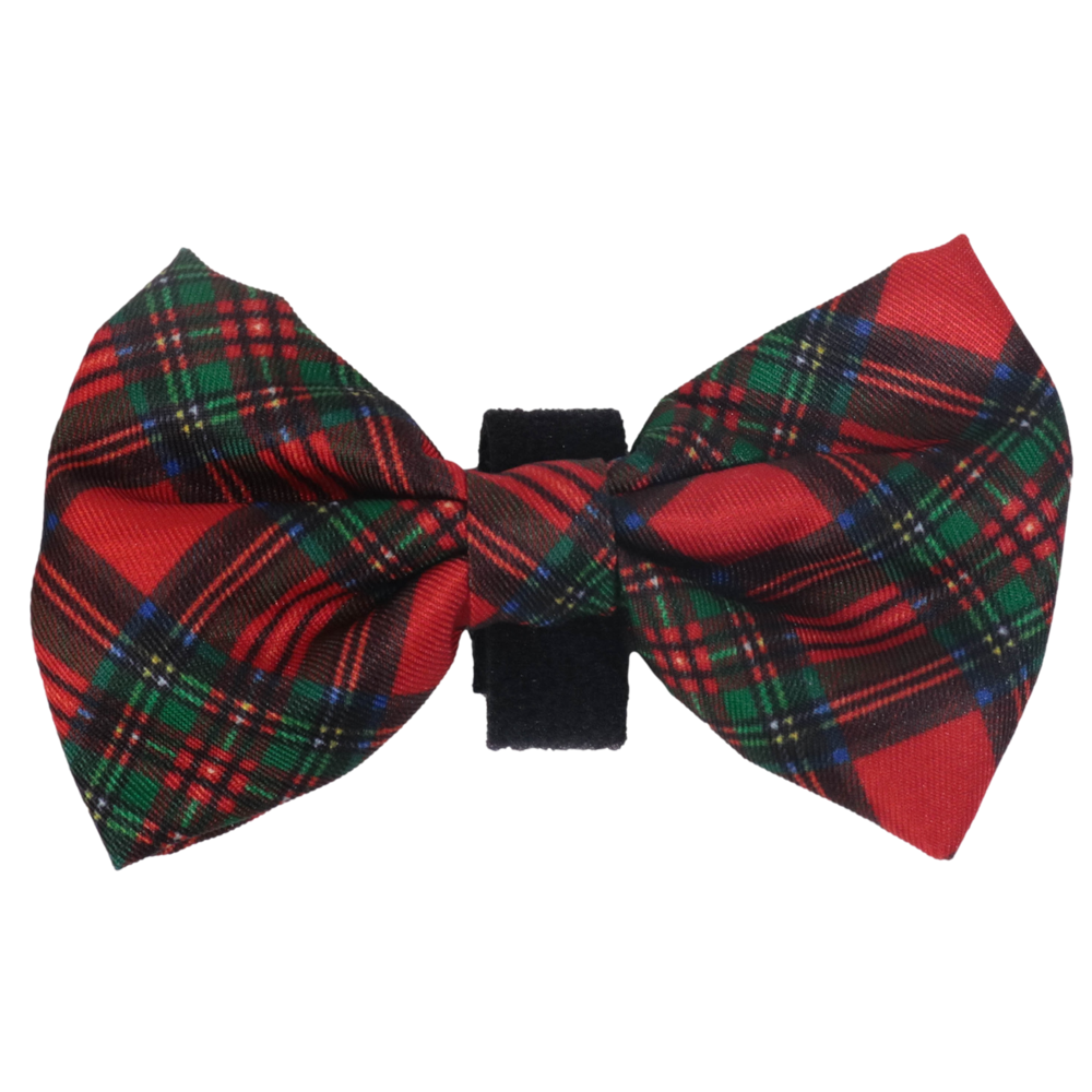 Big & Little Dogs Collar & Bow Tie: Festive Tartan