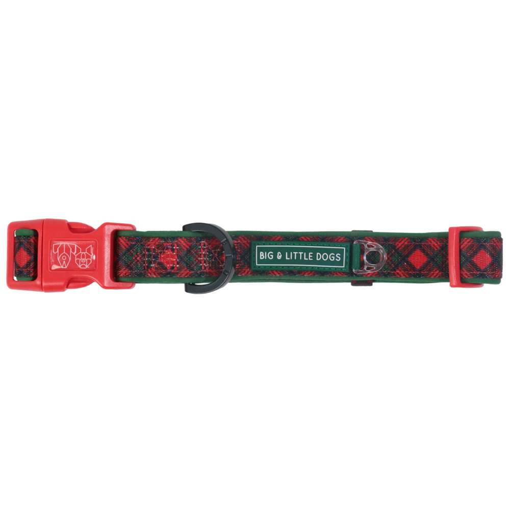 Big & Little Dogs Collar & Bow Tie: Festive Tartan