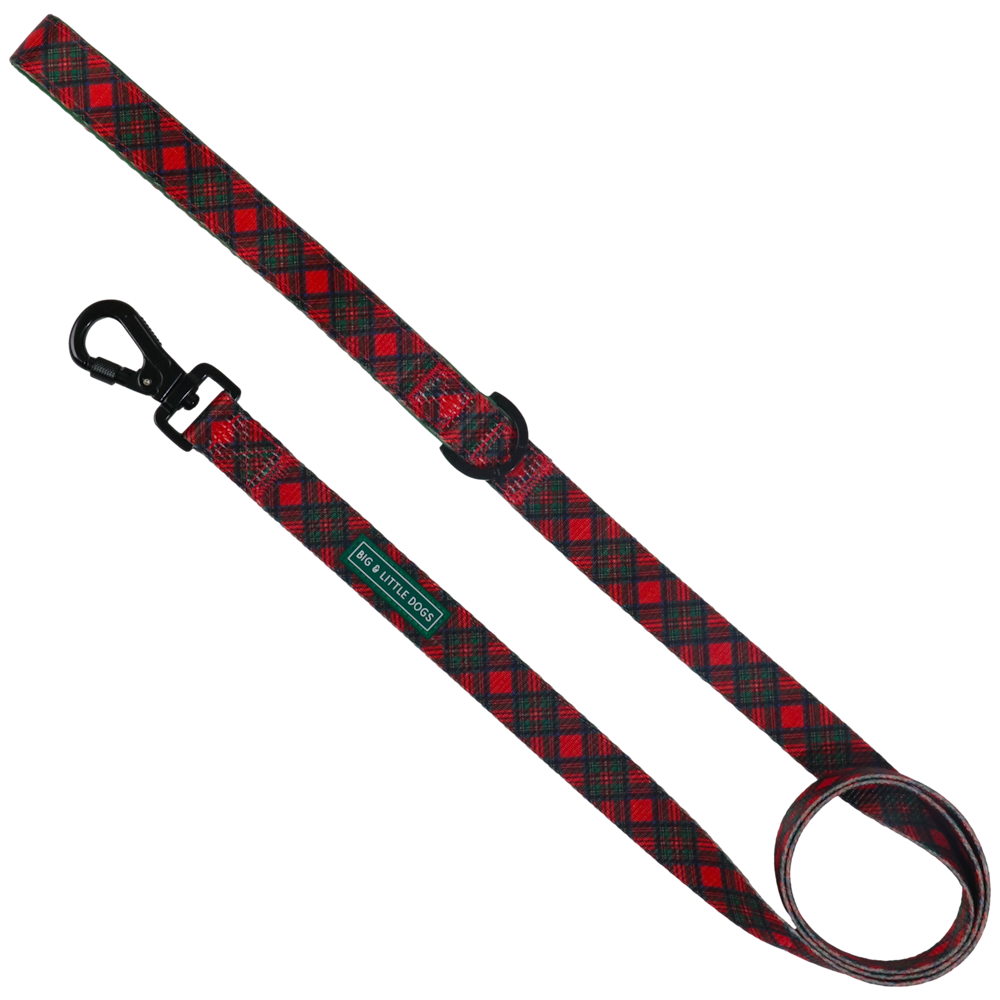 Big & Little Dogs Dog Leash: Festive Tartan