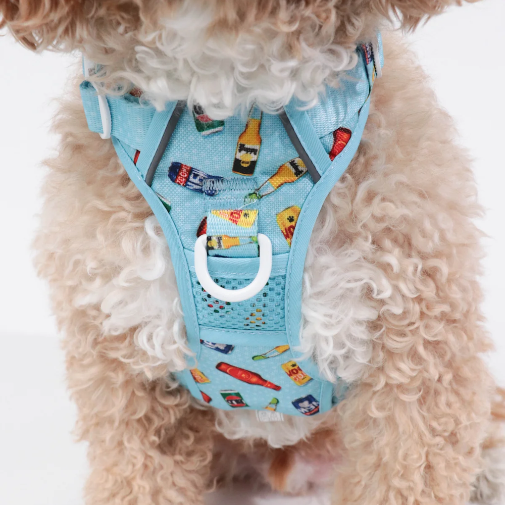 Big & Little Dogs Drinking Buddy All Rounder Harness