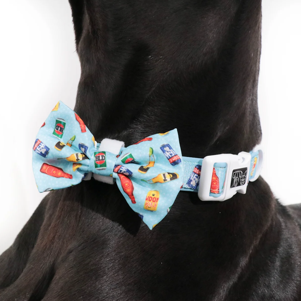 Big & Little Dogs Drinking Buddy Collar & Bow Tie