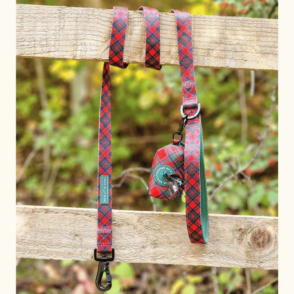 Big & Little Dogs Dog Leash: Festive Tartan