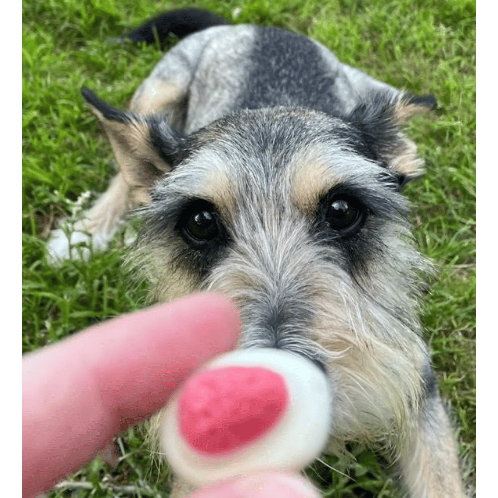 Strawberries & Cream Dog Lollies