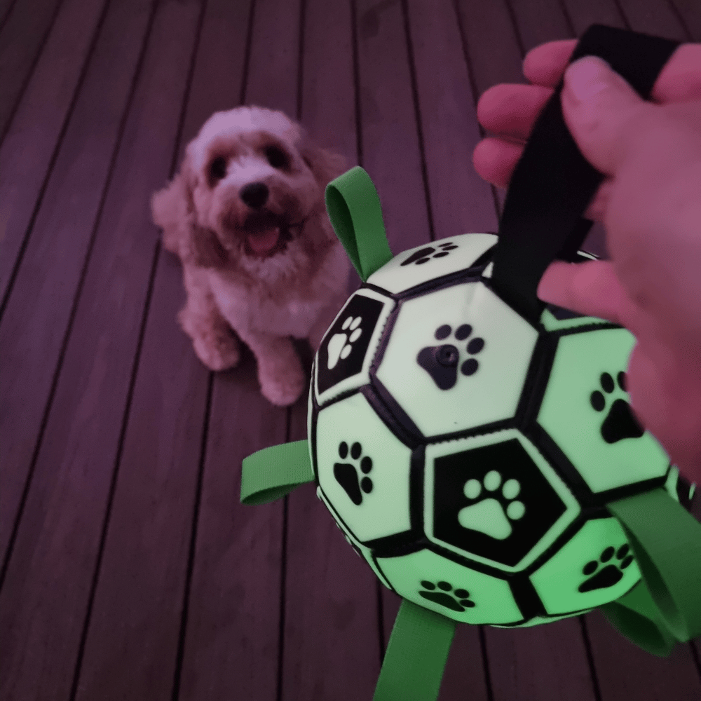 Glow In The Dark Interactive Dog Soccer Ball With Grab Tabs