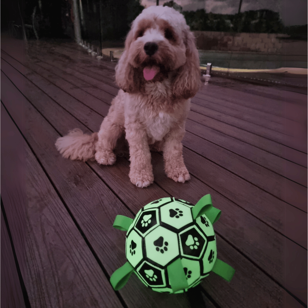 Glow In The Dark Interactive Dog Soccer Ball With Grab Tabs