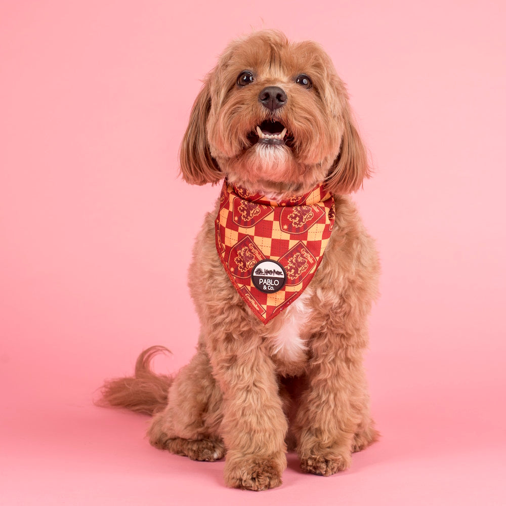 Pablo & Co Harry Potter Gryffindor: Dog Bandana