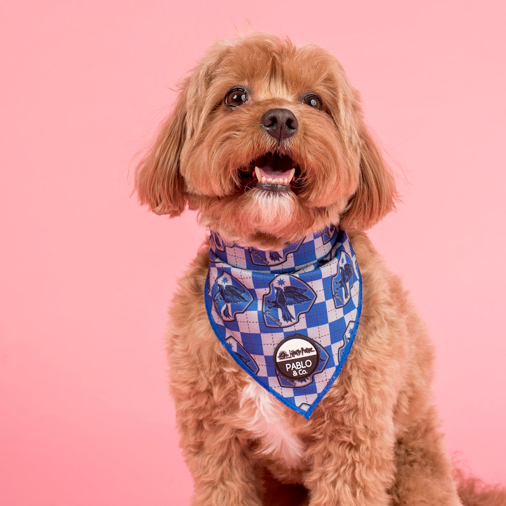 Pablo & Co Harry Potter Ravenclaw: Dog Bandana