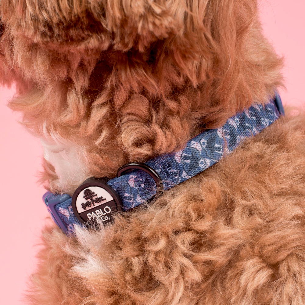 Pablo & Co Harry Potter Ravenclaw: Dog Collar