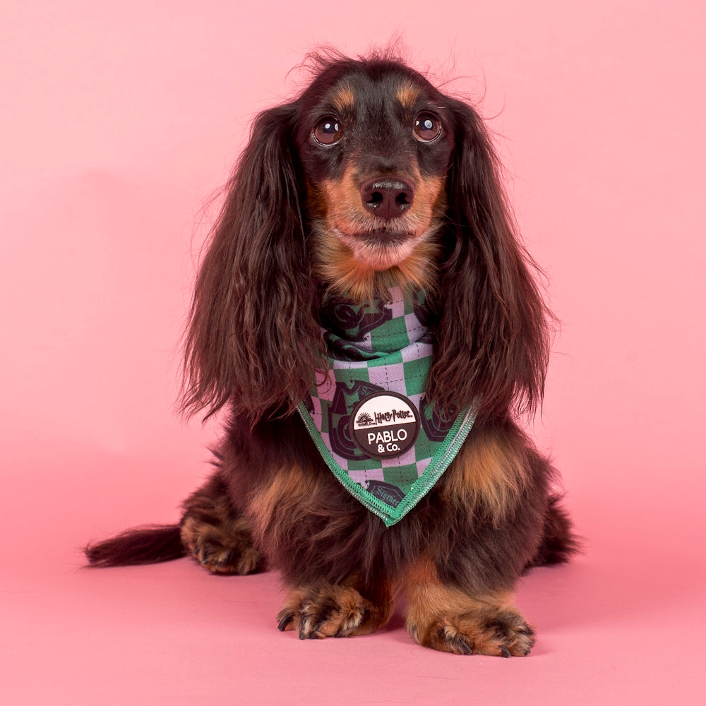 Pablo & Co Harry Potter Slytherin: Dog Bandana