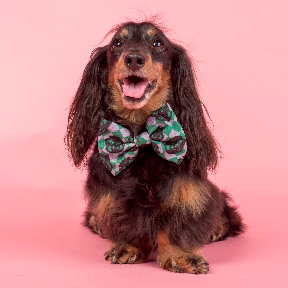 Pablo & Co Harry Potter Slytherin: Bow Tie