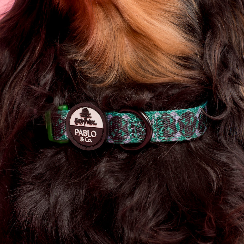 Pablo & Co Harry Potter Slytherin: Dog Collar