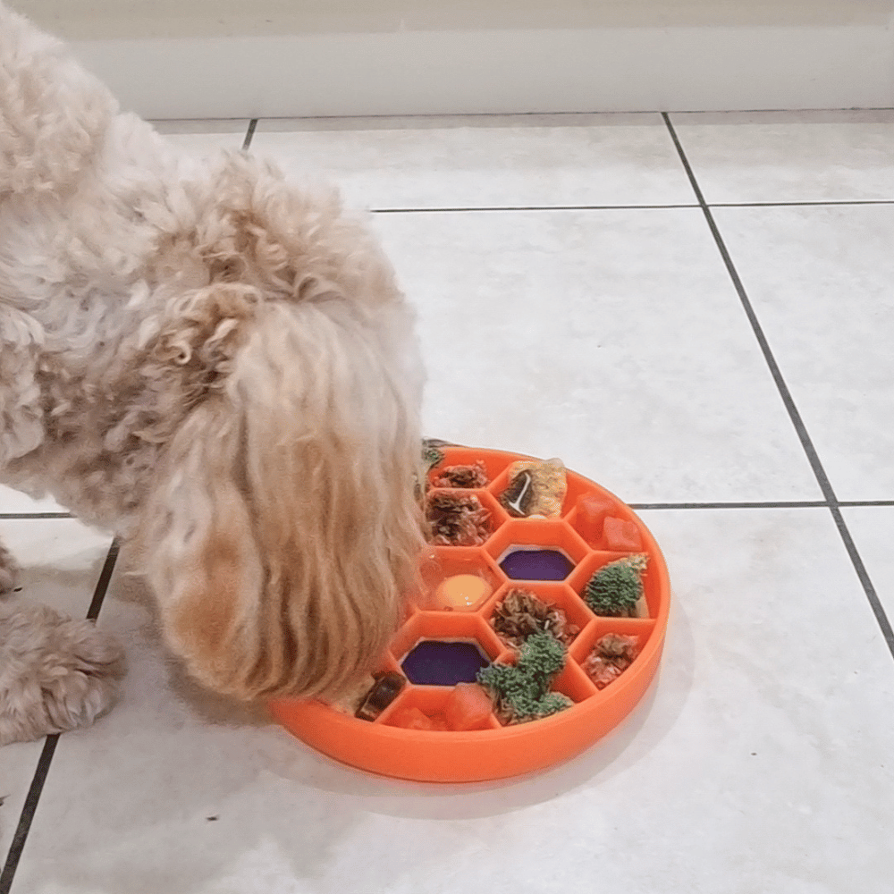 Honeycomb Slow Feeder Bowl