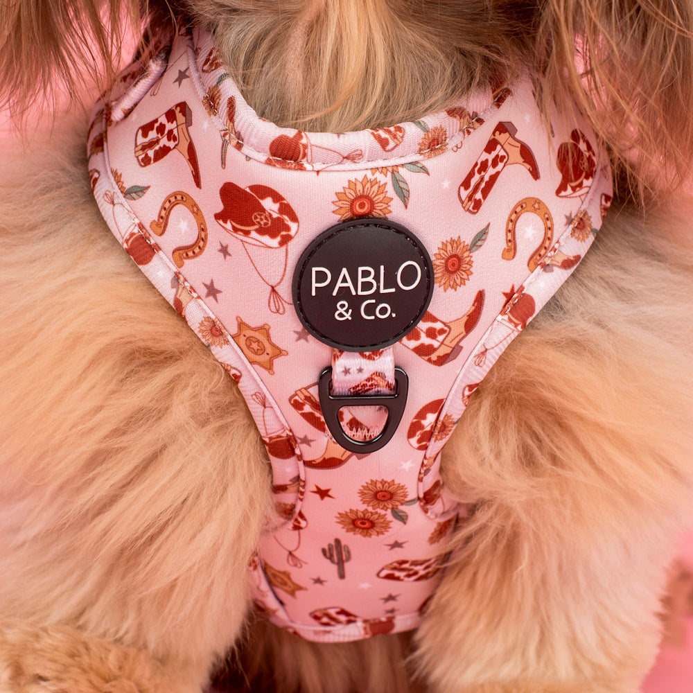 Pablo & Co Howdy Adjustable Harness