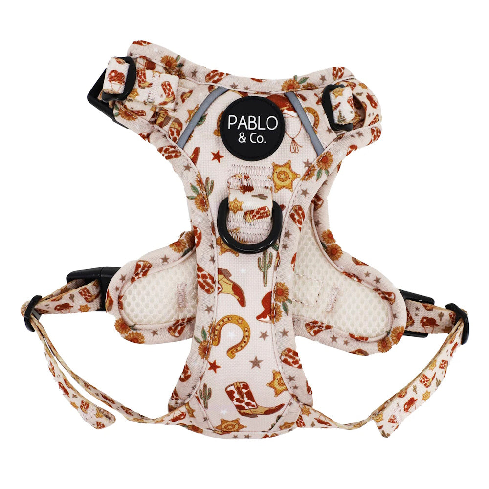 Pablo & Co Howdy No Pull Harness