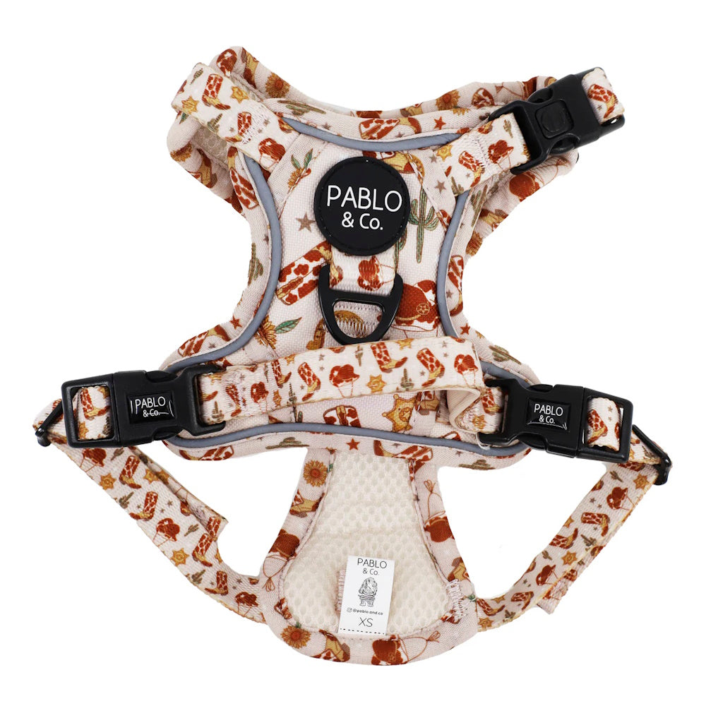 Pablo & Co Howdy No Pull Harness