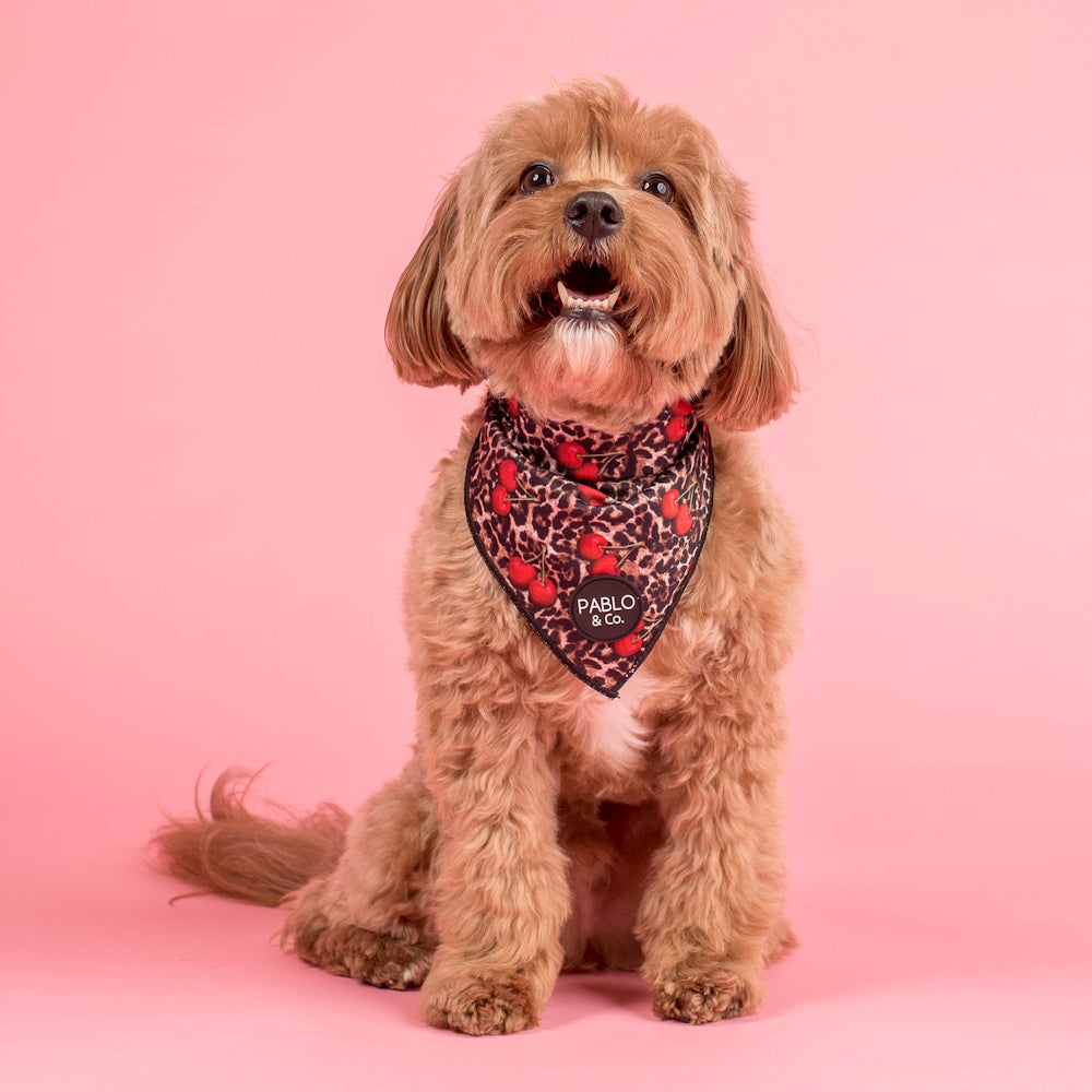 Pablo & Co Leopard Cherries Bandana