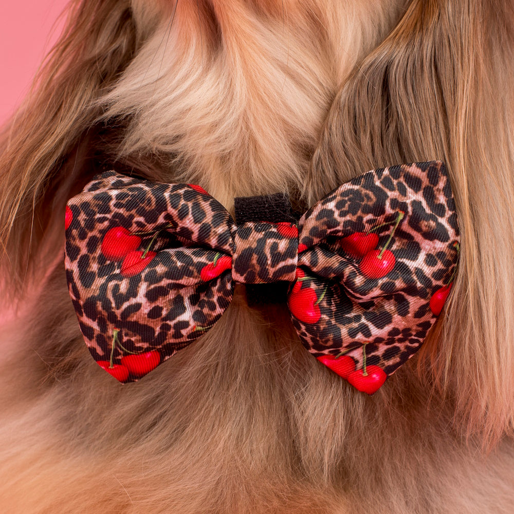 Pablo & Co Leopard Cherries Bow Tie