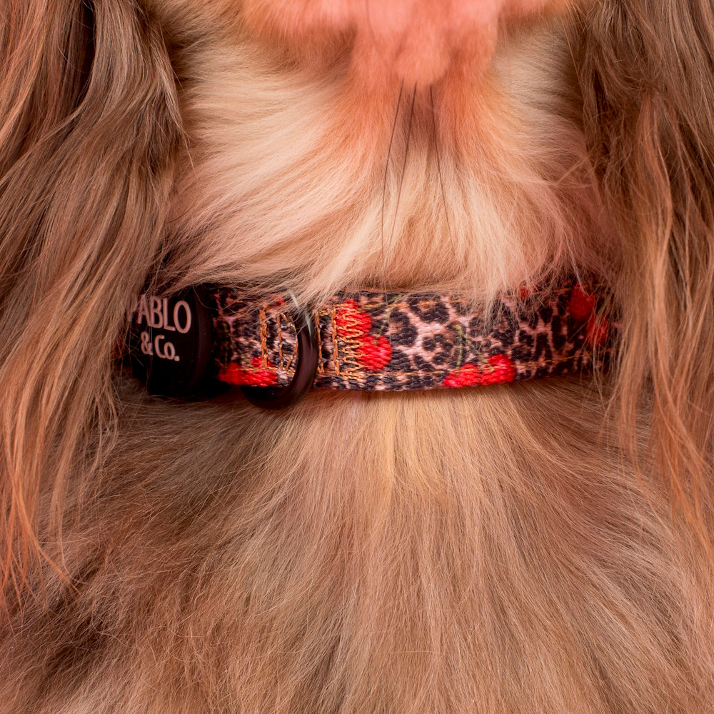 Pablo & Co Leopard Cherries Dog Collar