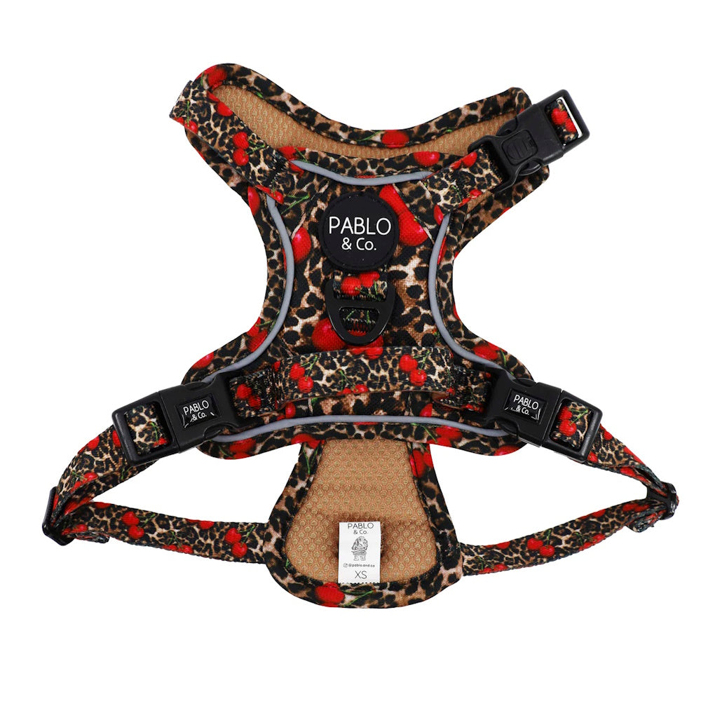 Pablo & Co Leopard Cherries No Pull Harness