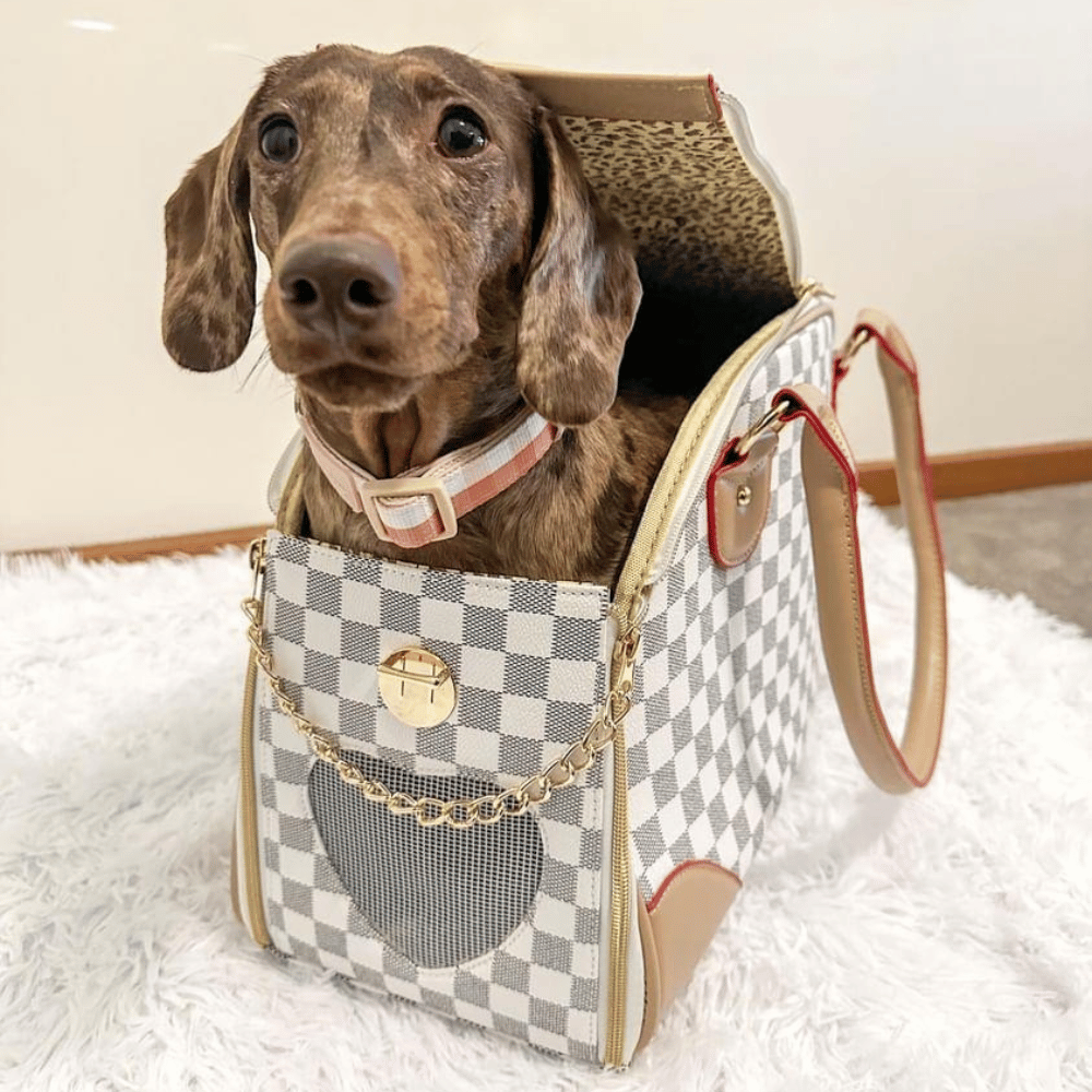 Luxe Checker Bowling Tote Dog Carrier