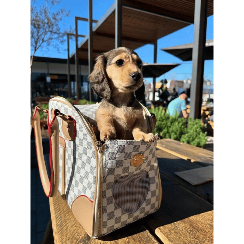 Luxe Checker Bowling Tote Dog Carrier