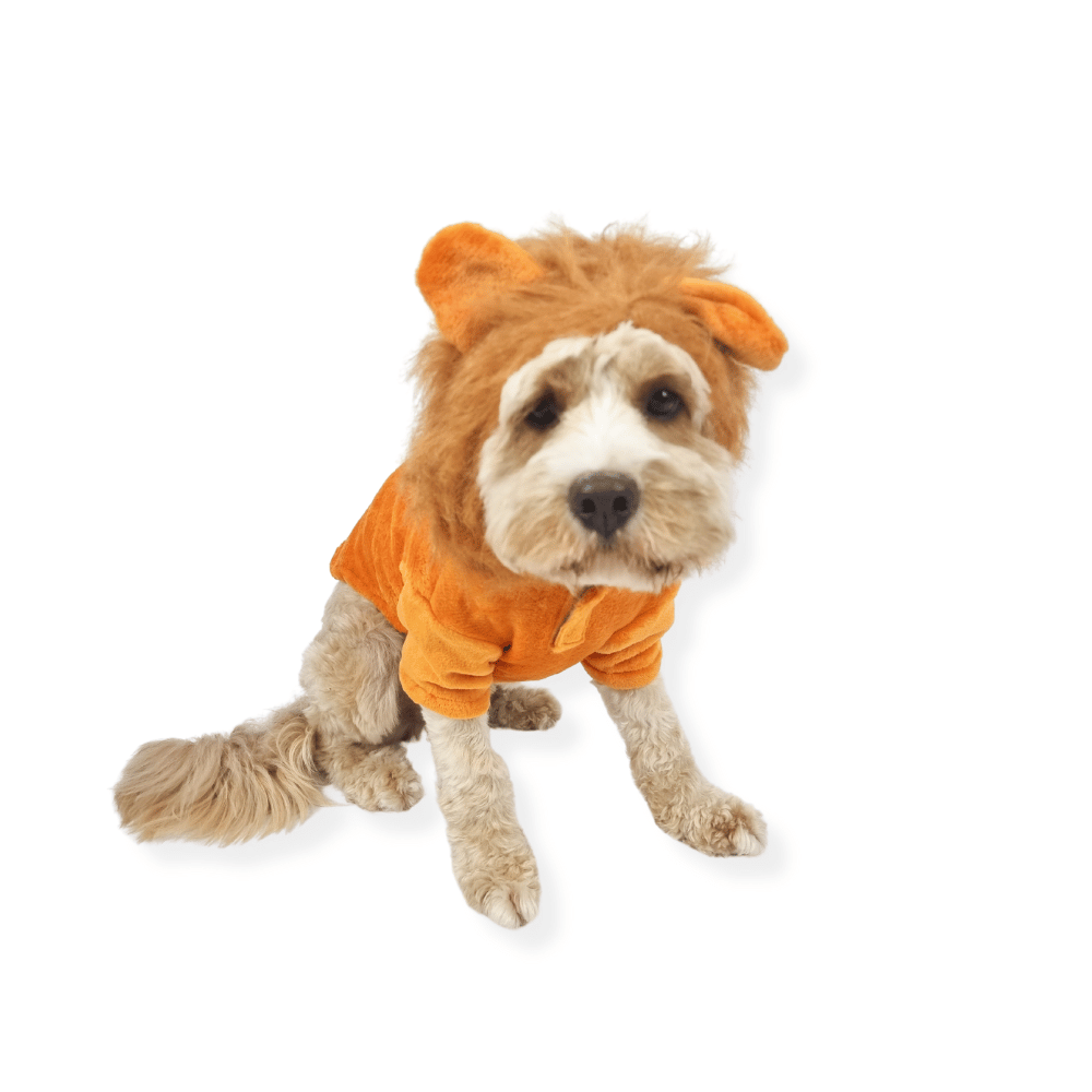 Lion Dog Costume - Medium - Large Dogs