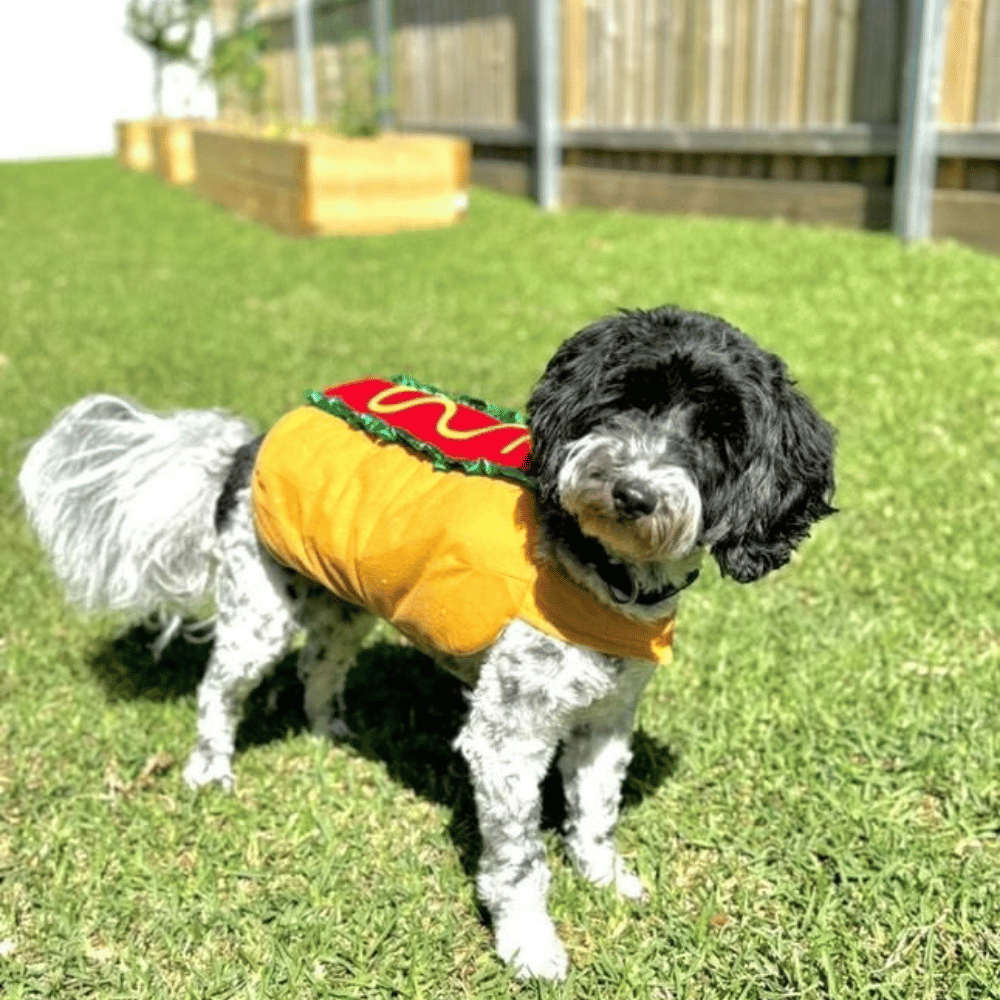 Hot Dog Costume