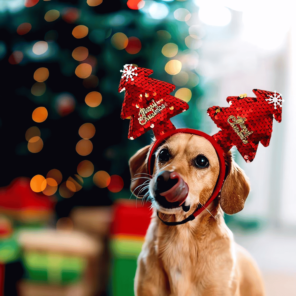 Merry Christmas Tree Dog Headband