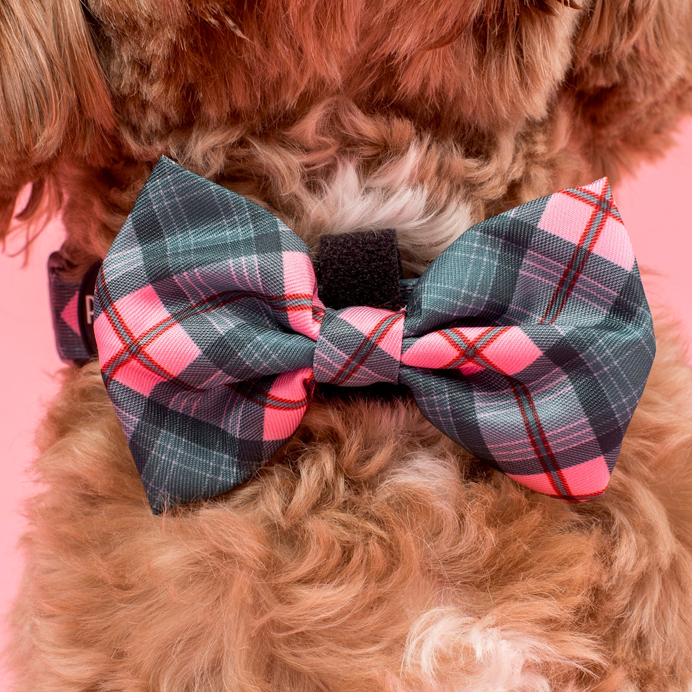 Pablo & Co Patch's Plaid: Bow Tie