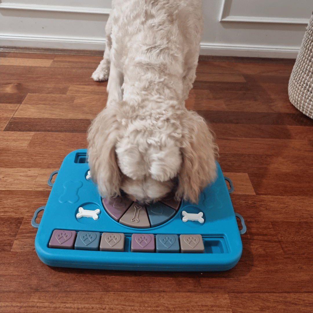 Paws n Bones Dog Treat Puzzle