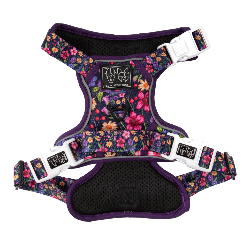 Big & Little Dogs Petal Paradise All Rounder Harness