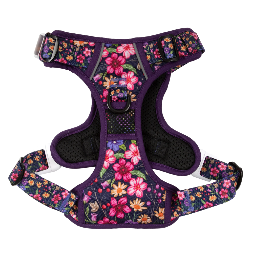 Big & Little Dogs Petal Paradise All Rounder Harness