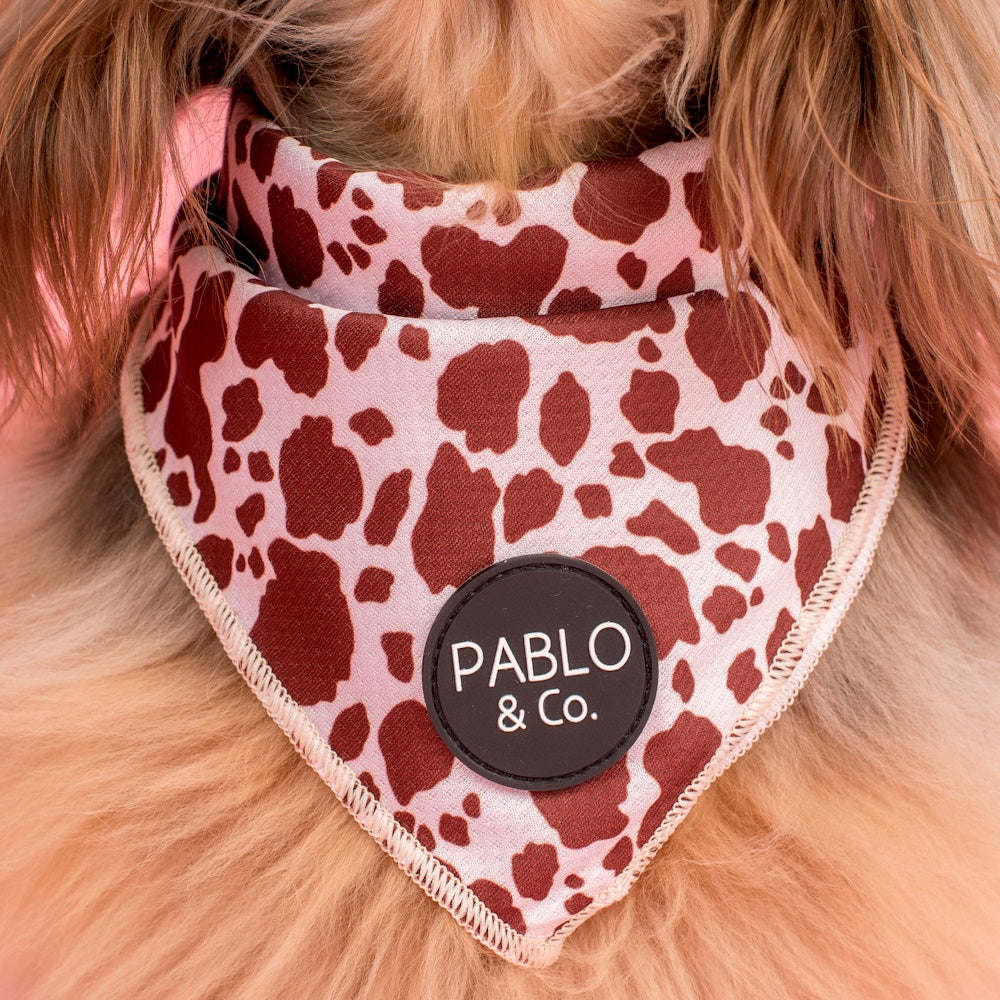 Pablo & Co Rodeo Bandana