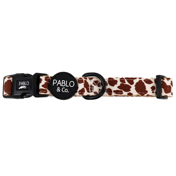 Pablo & Co Rodeo Dog Collar