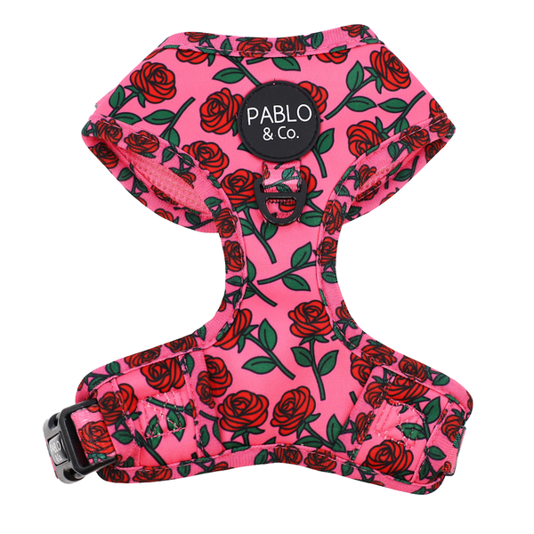 Pablo & Co Rosie Adjustable Harness